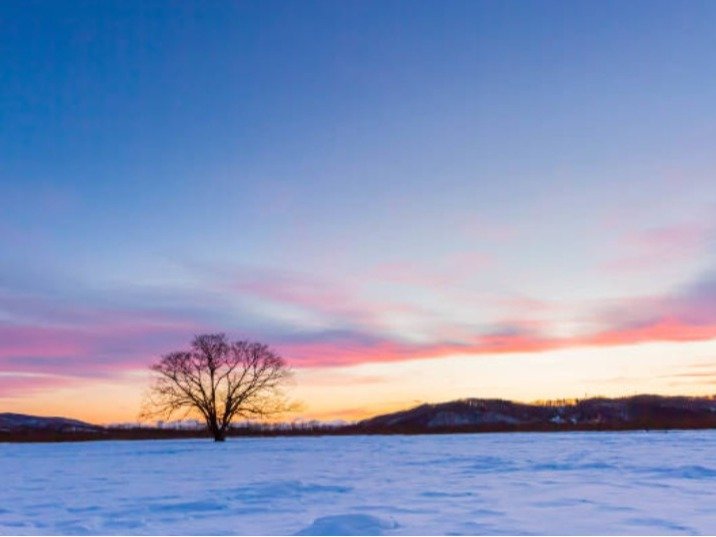 �~�̒m���A����̌i�F�B������Ղ��L����厩�R�̕���B�X�ƐႪ�D��Ȃ����z�I�ȕ��i���y���ށB