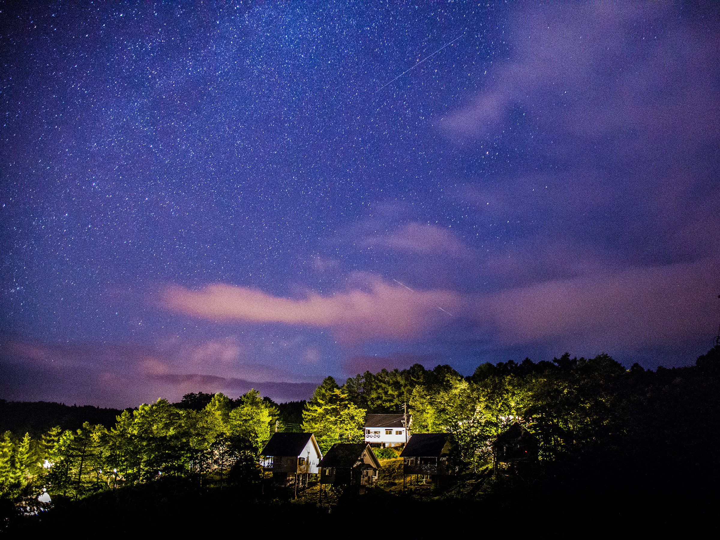 ���ꂽ���̖�ɂ́A�܂�ō~���Ă������Ȑ�����ώ@�ł��܂��B�^���ǂ���Η��ꐯ�ɏo��邱�Ƃ���