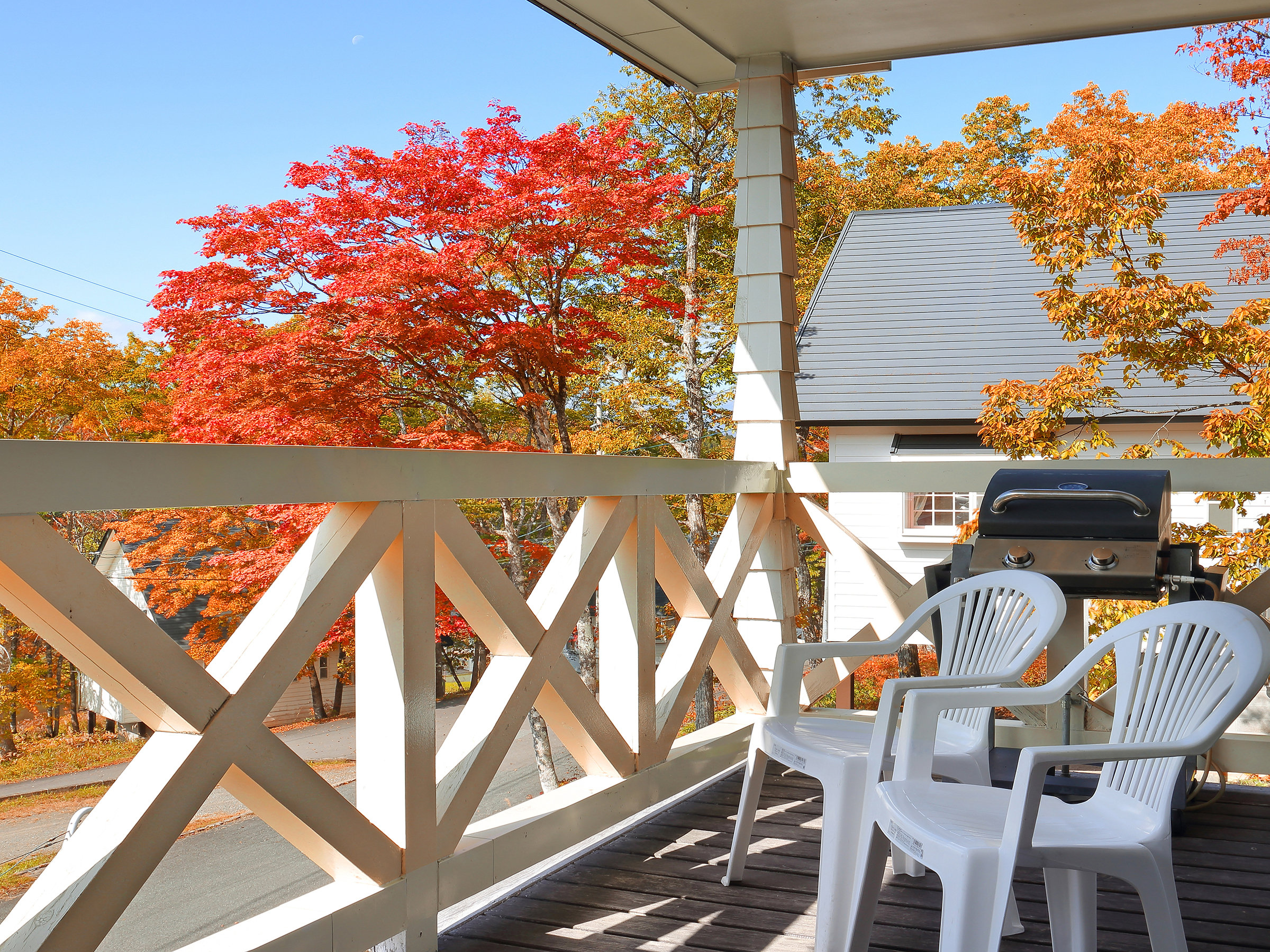 X^_[hRe[Wmam86uneX̌iF