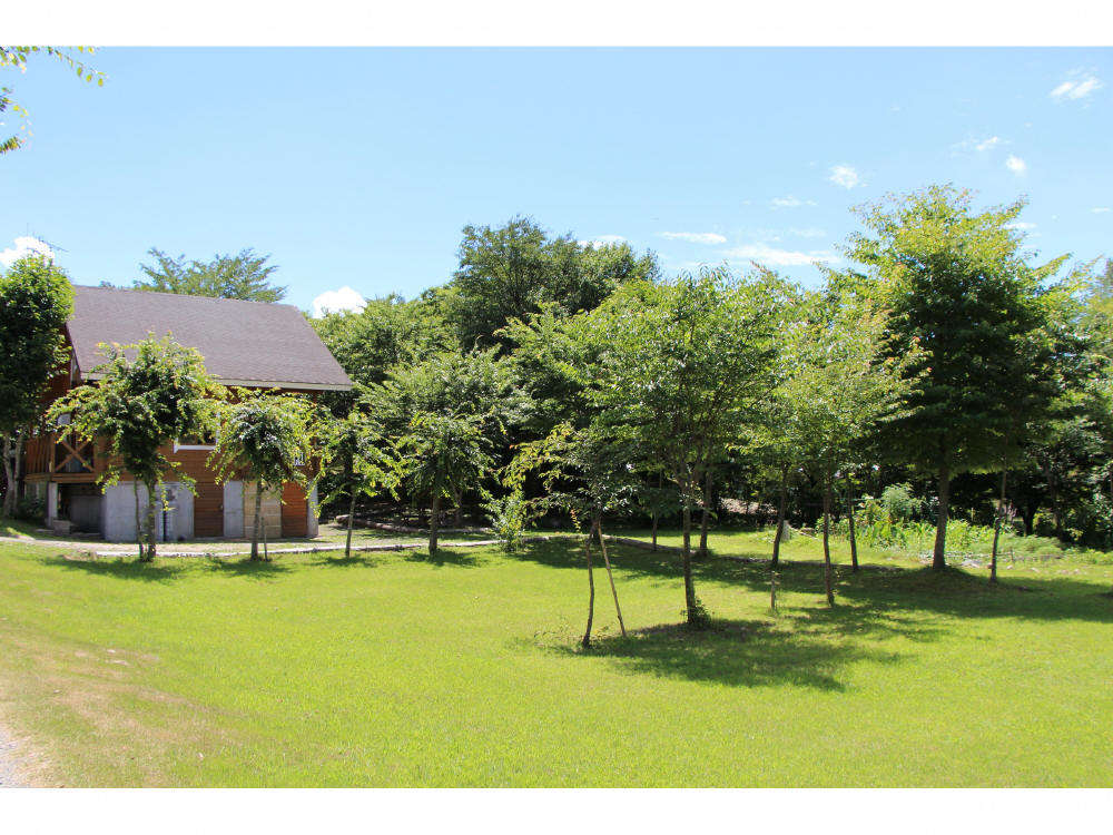 �Ő��L��ƃ��O�R�e�[�W�����̉ƇT��