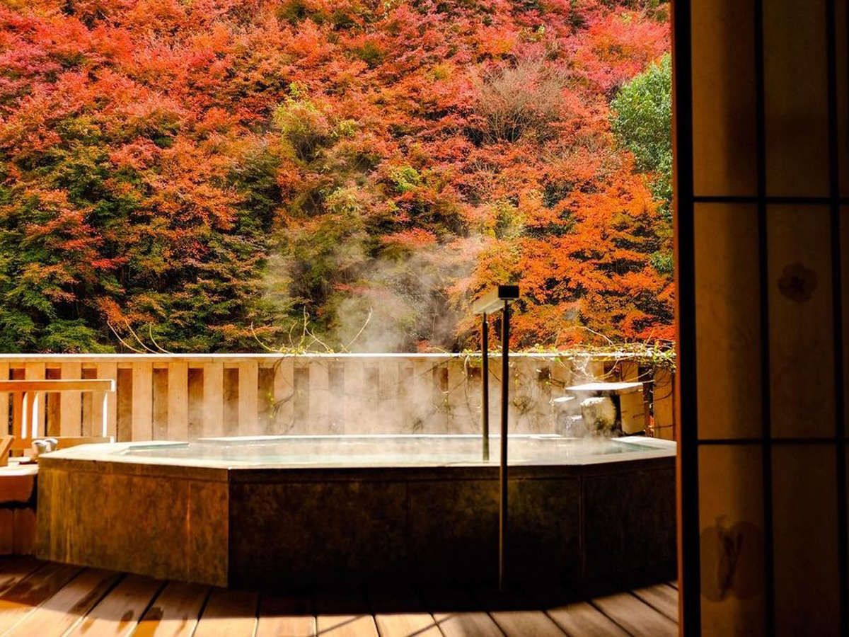 yHzԂ܂kJ𒭂߂ȂAݐؘIVCœ