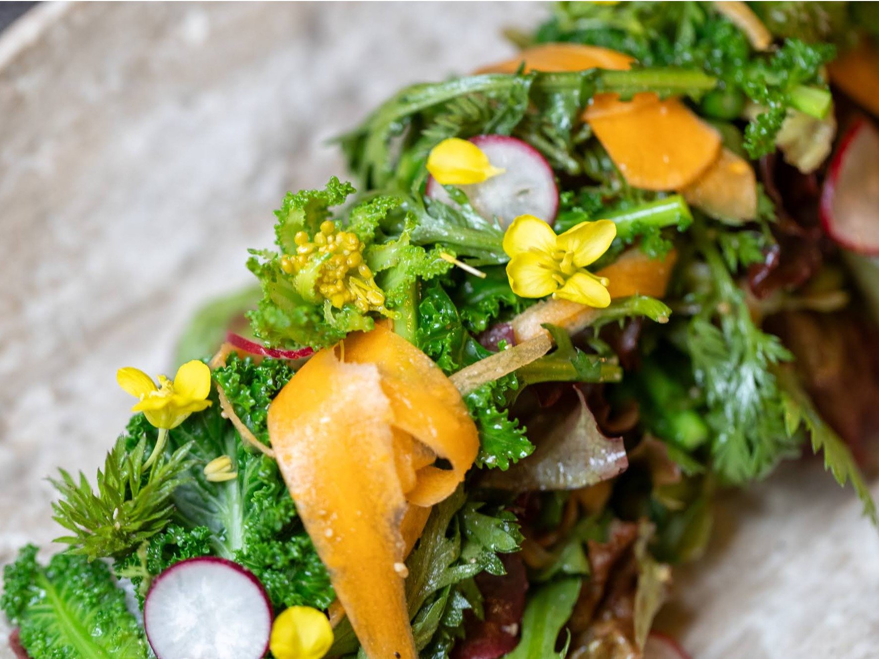 �S�蔲���V�F�t��������؂͍ݗ���A�Œ��A�_��≻���엿�s�g�p�B�����Ŏ�q�B�����ɓN�w�������܂��B