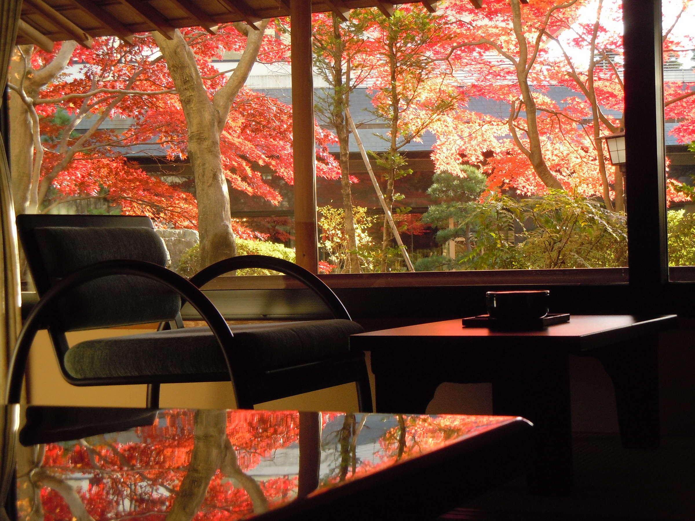 ×a(12.5)1Kʎ̒]HC[W