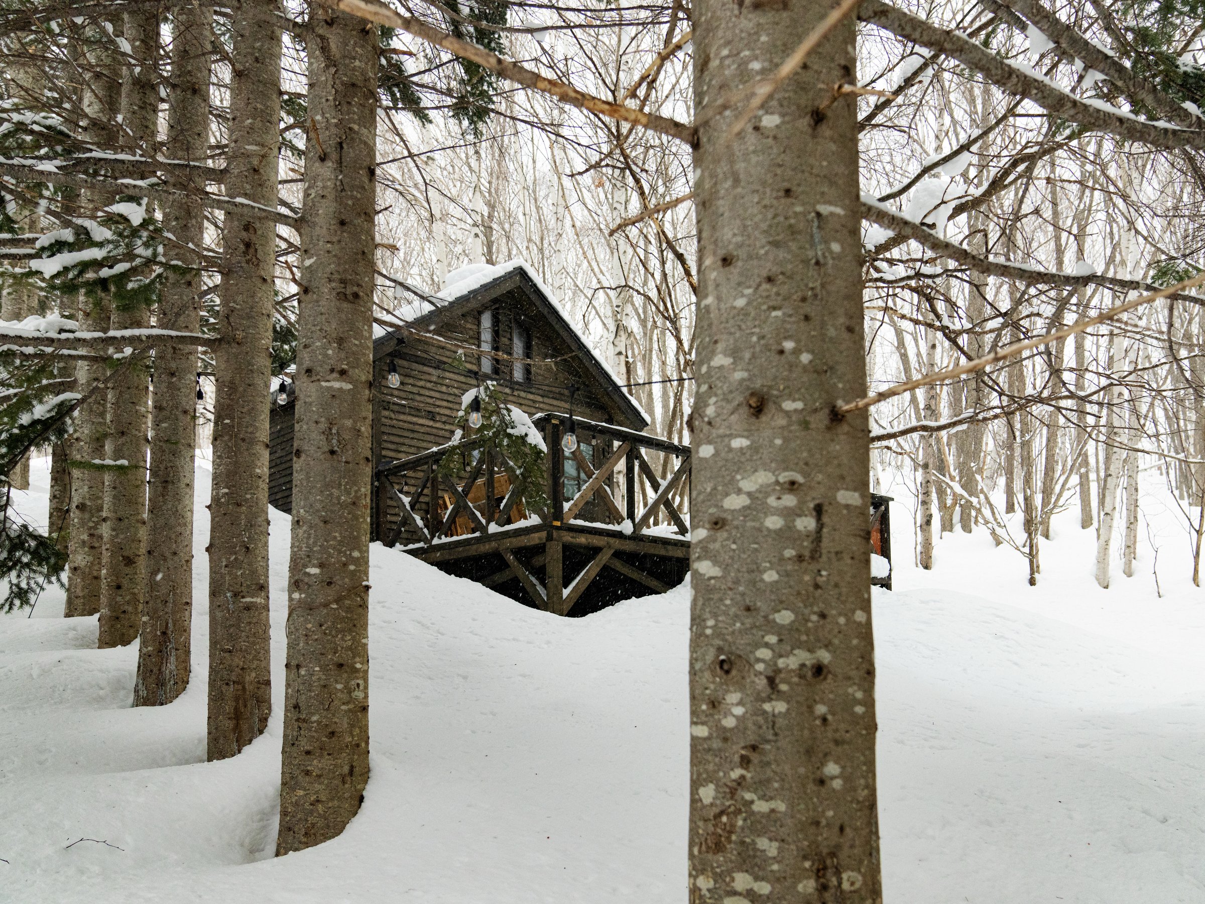 �~�͐�Ɉ͂܂�A�k�C���̓~�𔧂Ŋ������܂��B