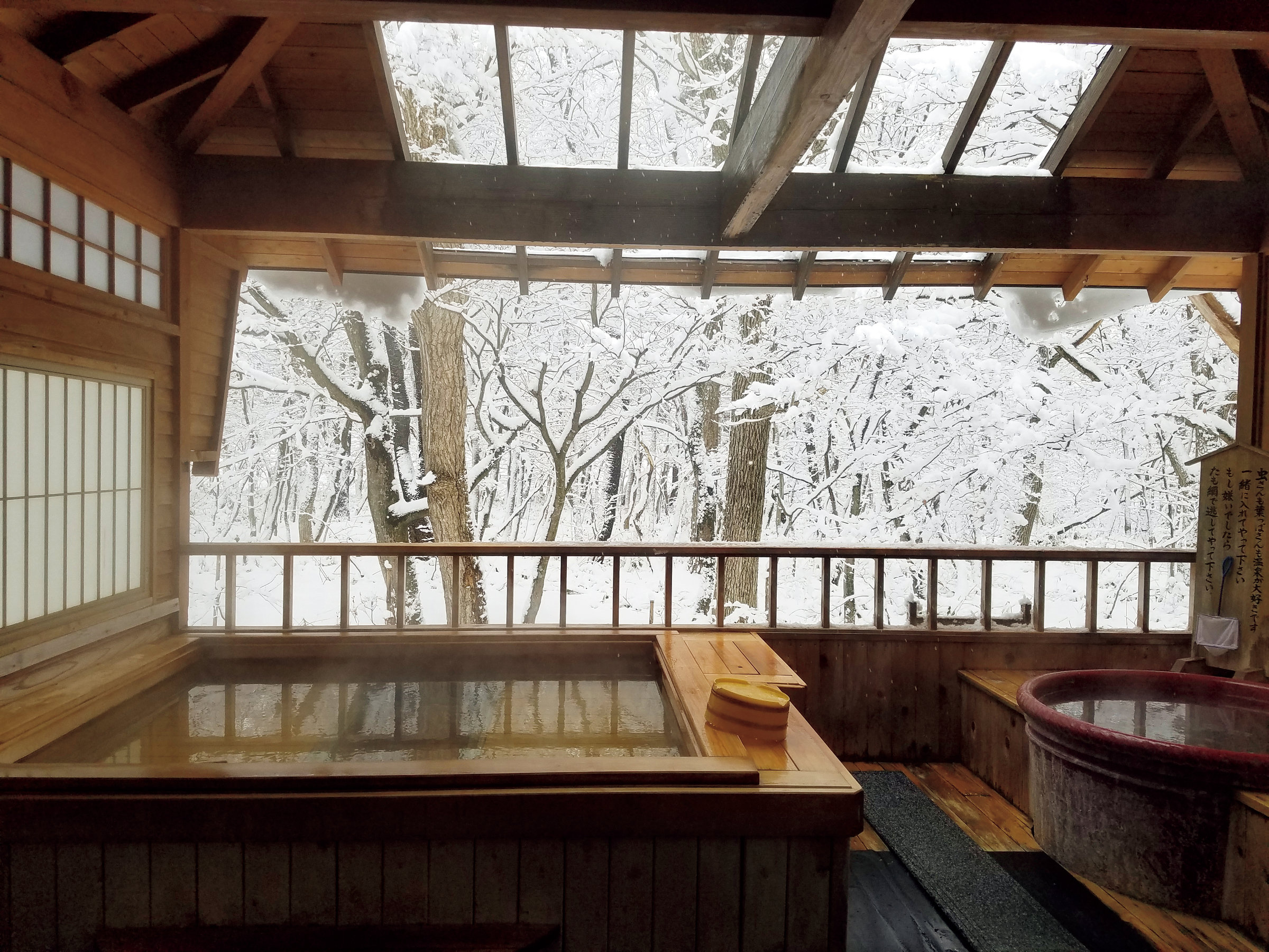 �Q�����璭�߂�~�̘I�V���C