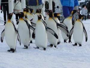 �~�̈��R�������������s���o�X�͉w�O�o�X����B