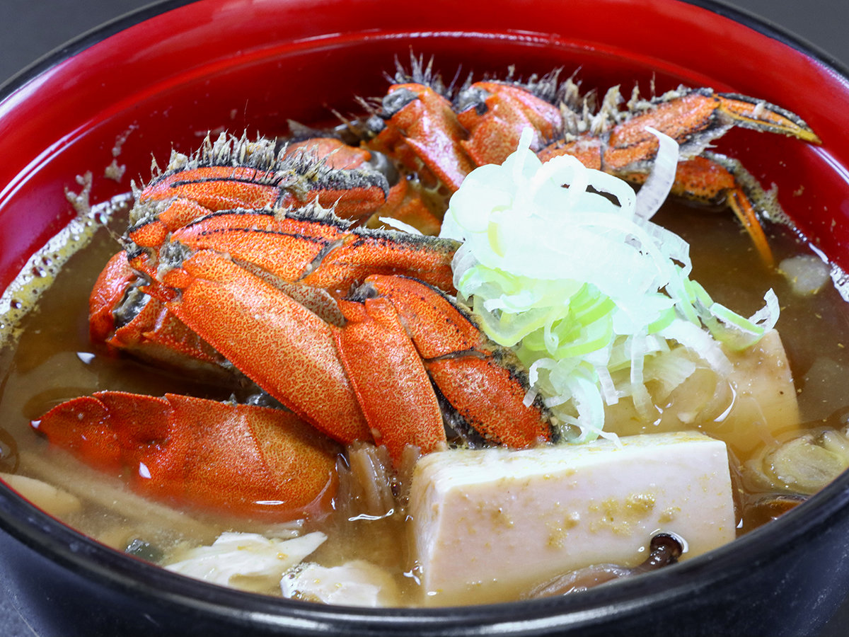 #HG̏ĤwNYKjx_Jj̔ZȍƋÏkꂽ|Ղ̐Kj`łǂI