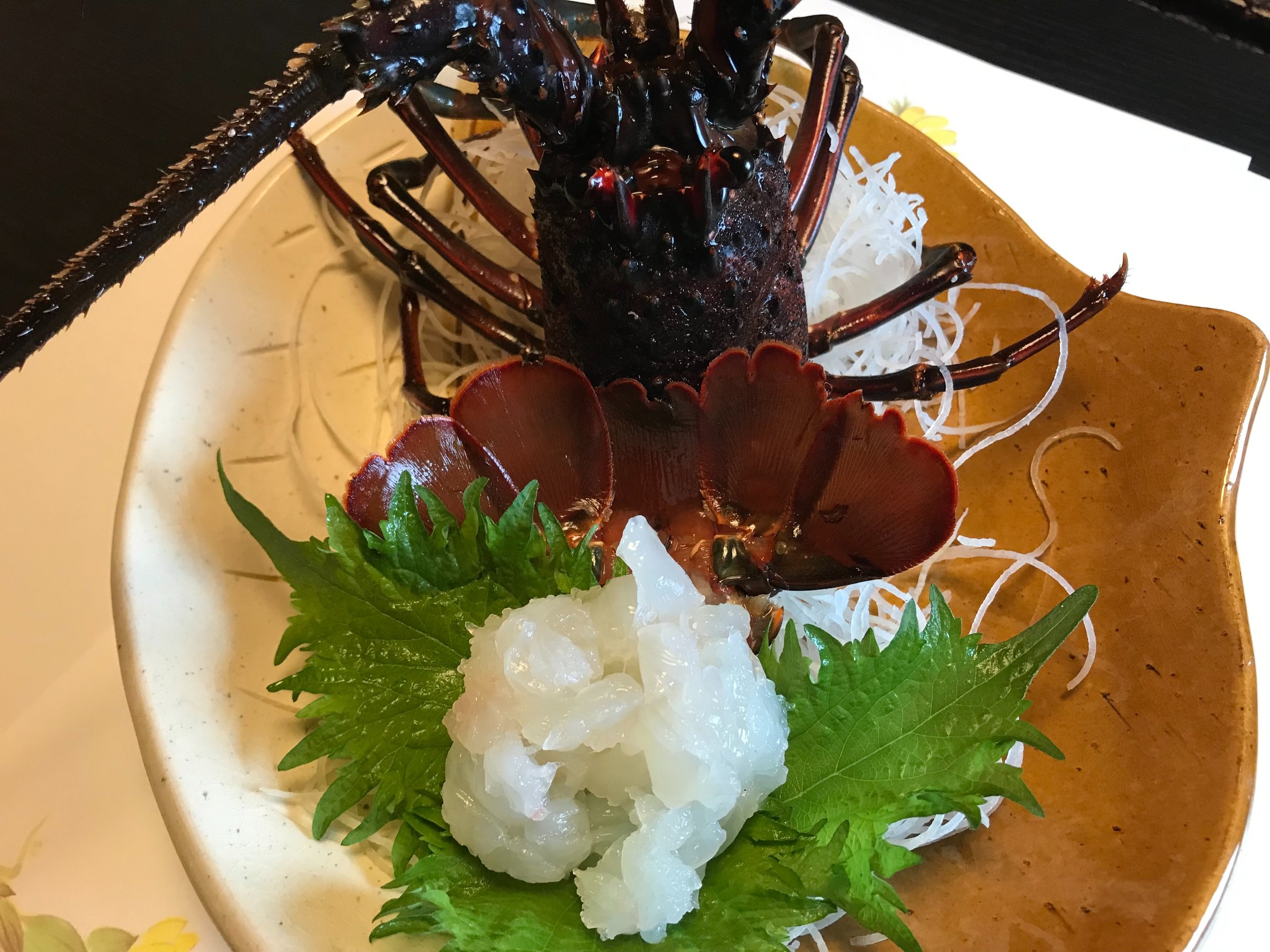 �ɐ��C�V������