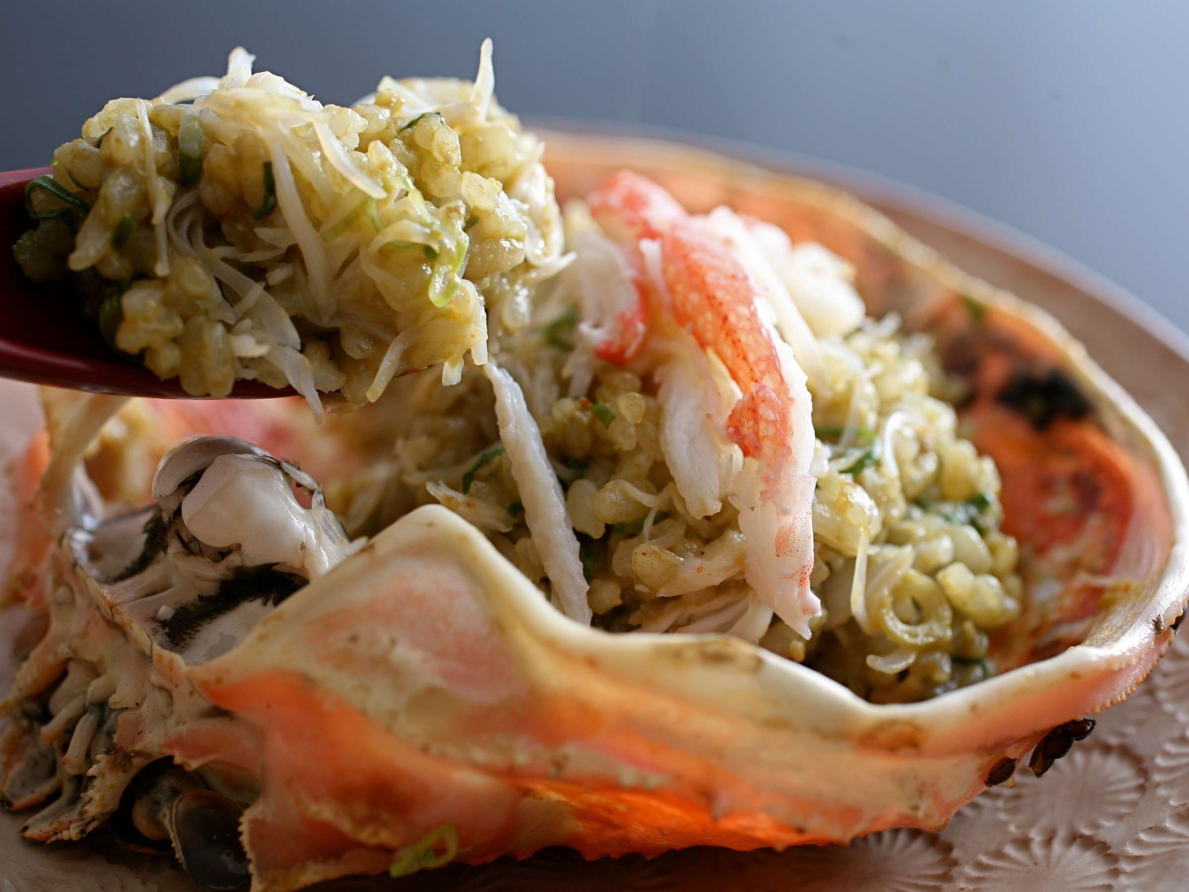 yJj݂сzKjR[XґuJj݂сv