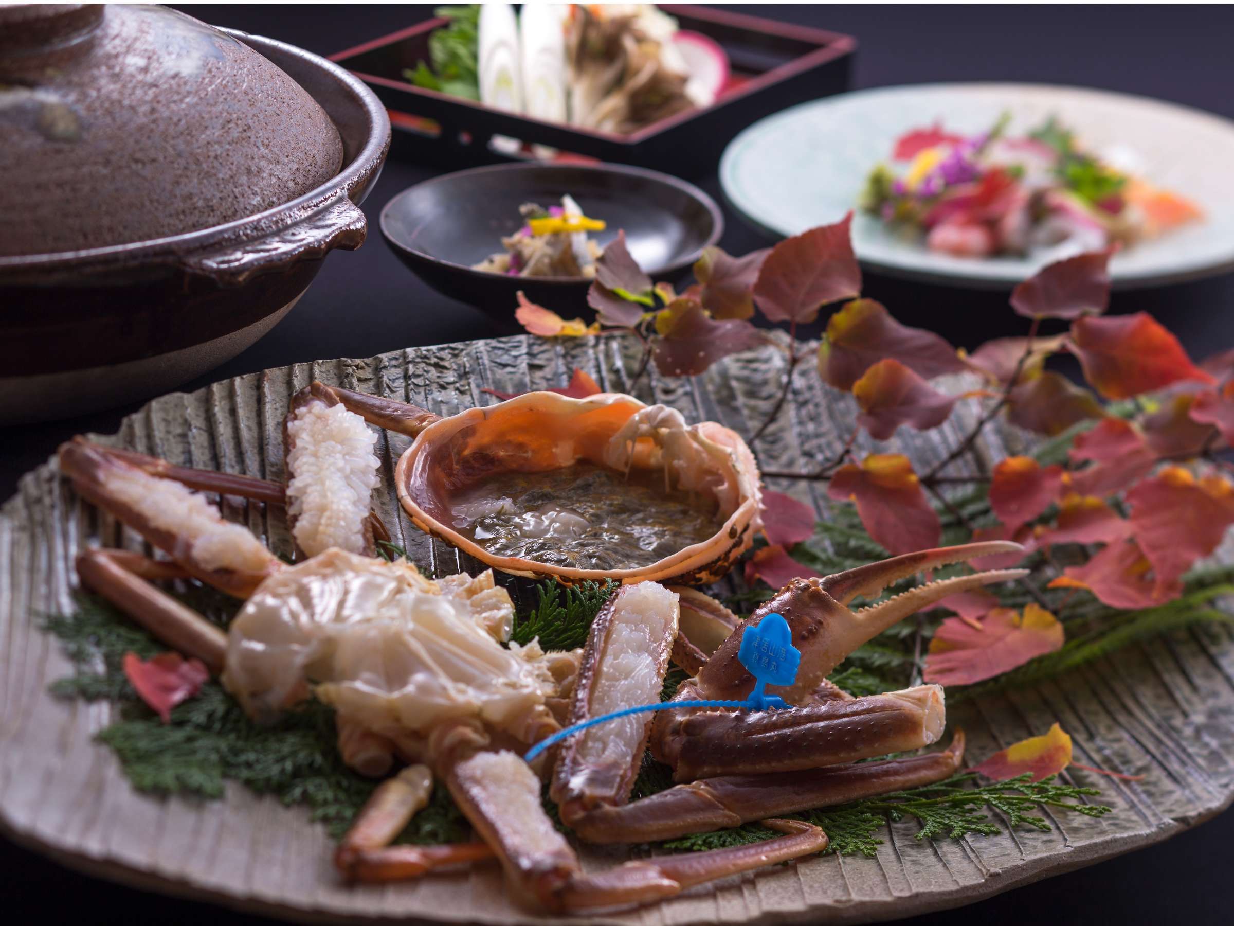 yKjz^OtuhtKjS䂭܂ŁB