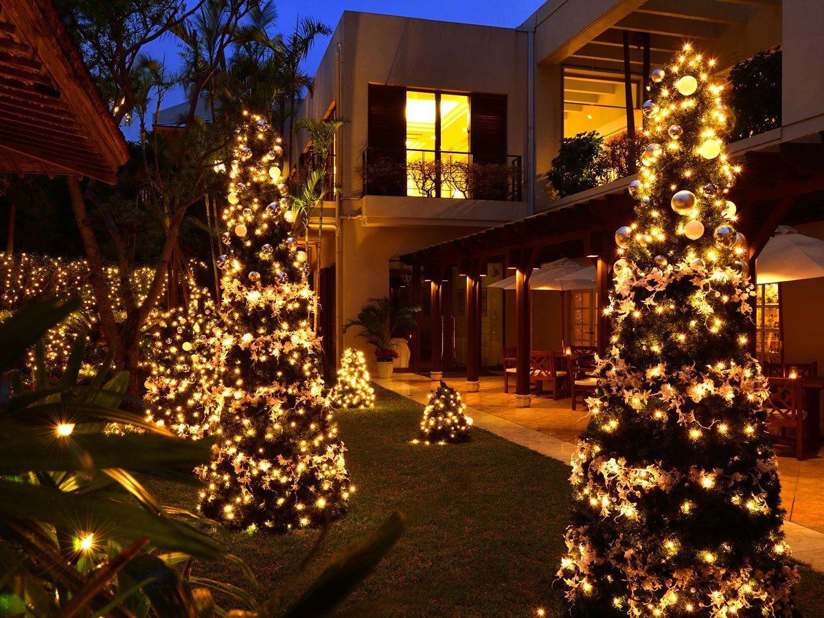 Xg猩NX}Xc[̌fGȎԂʂ܂BiC[Wj