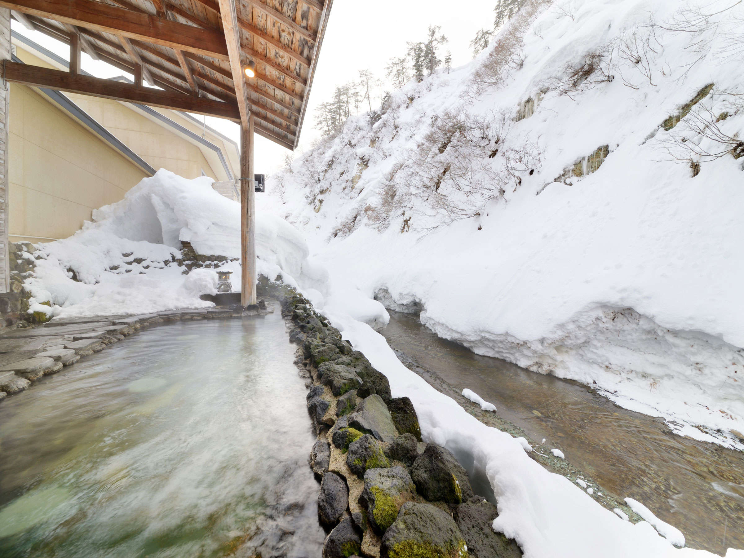 yjIVCz~̘IVCB₦̂ɉ݂̉킽܂B