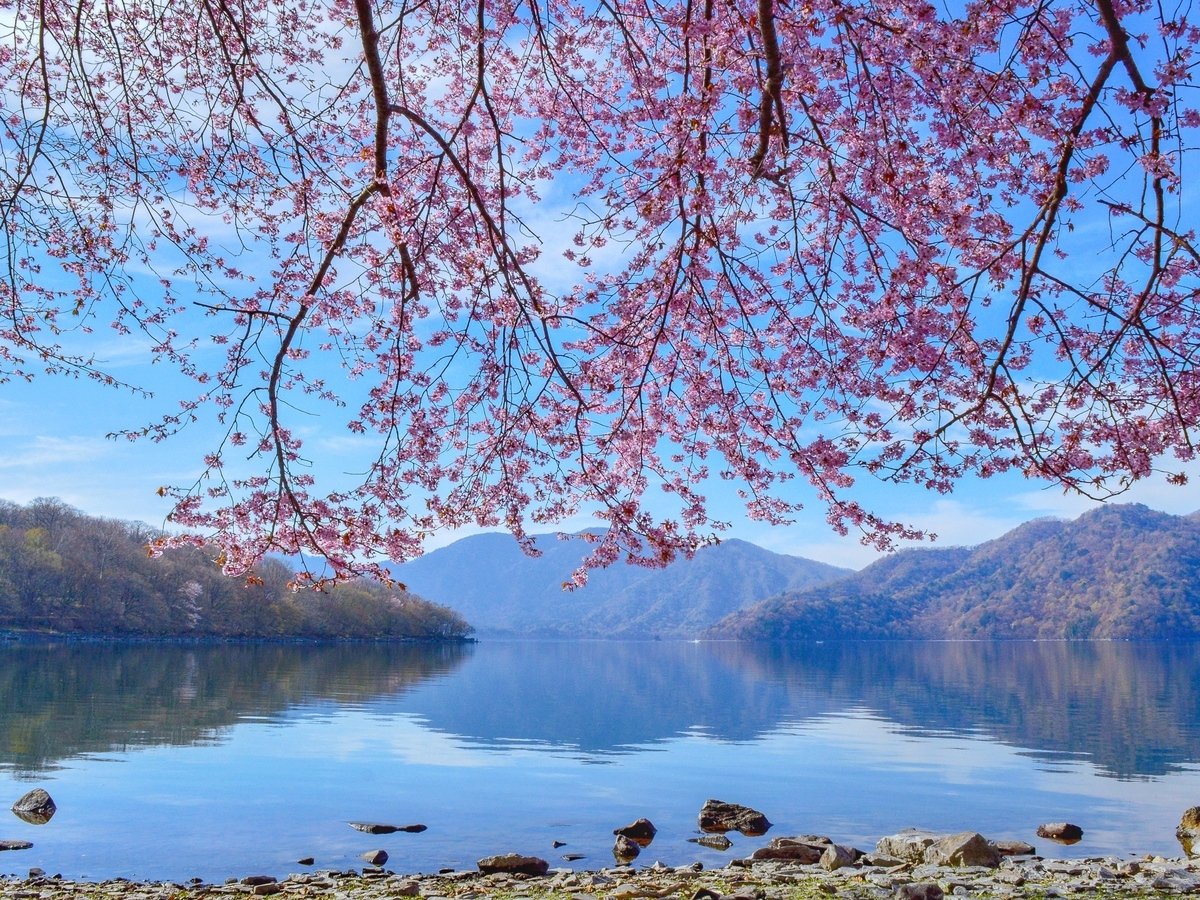 ���ƒ��T���΁@���z�e������ԂŖ�20��