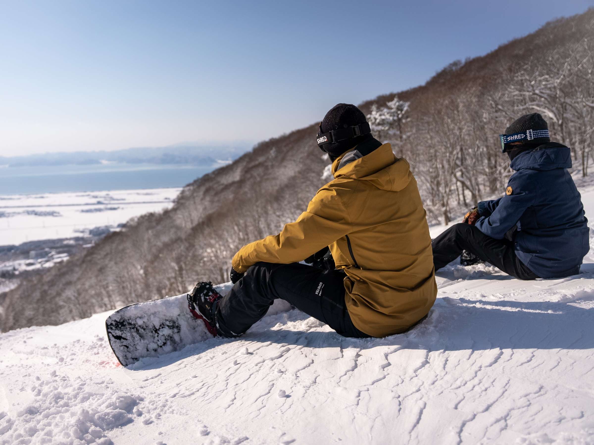 �Q�����f���璖�c��΂�]��