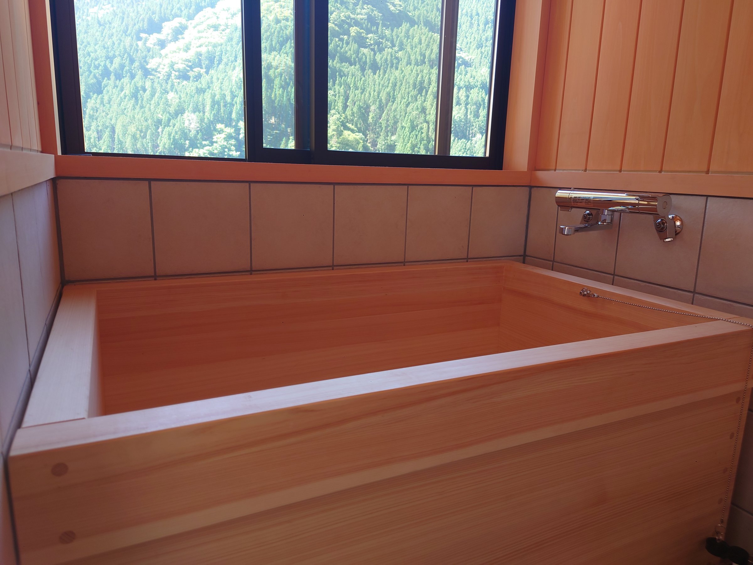 �w���C�̍���Ɣ��ɋz���t���C�����悳���ō�