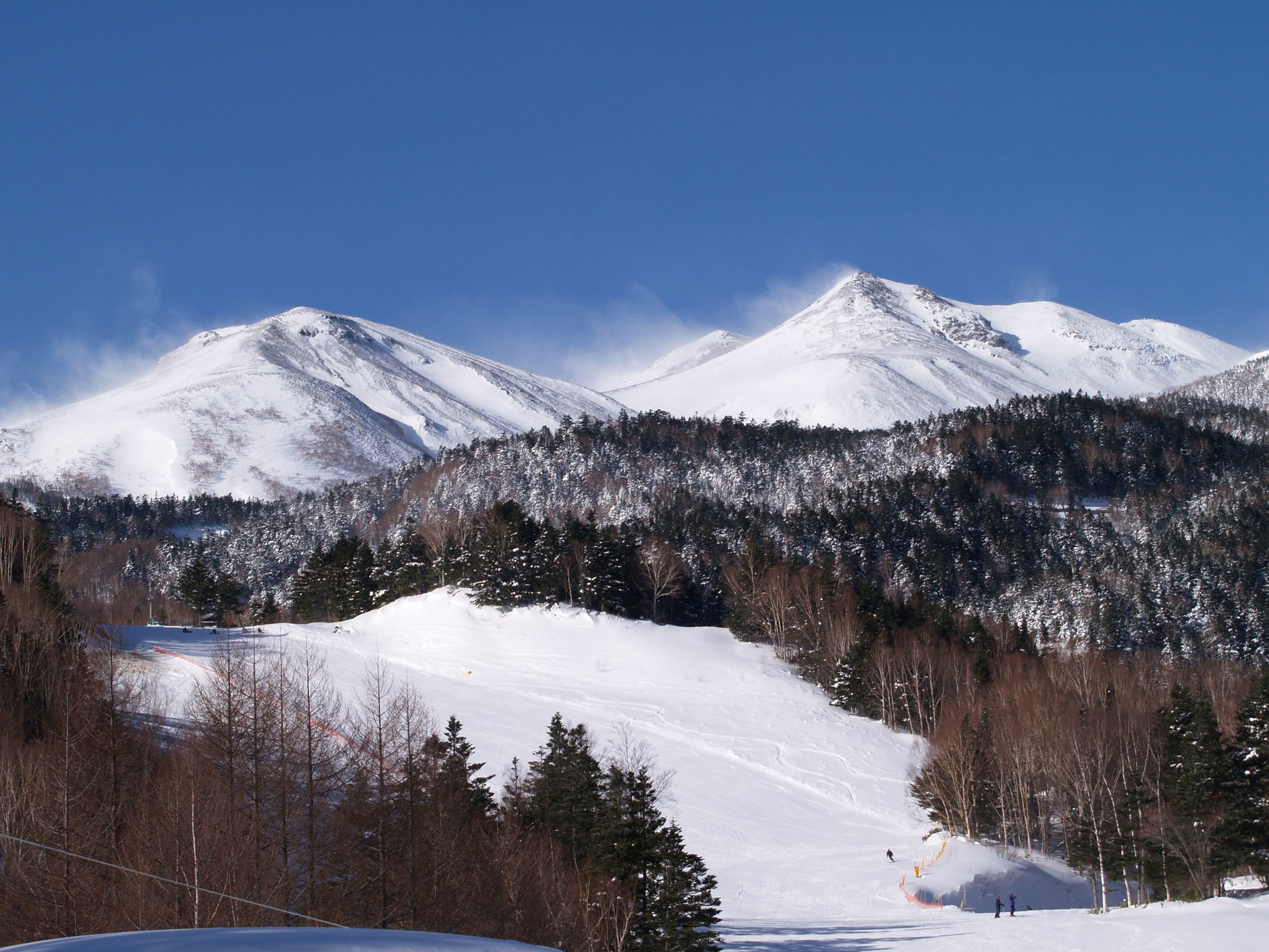 �y���ӃA�N�e�B�r�e�B�zMt.��ƃX�L�[��ɗאڂ���D���n