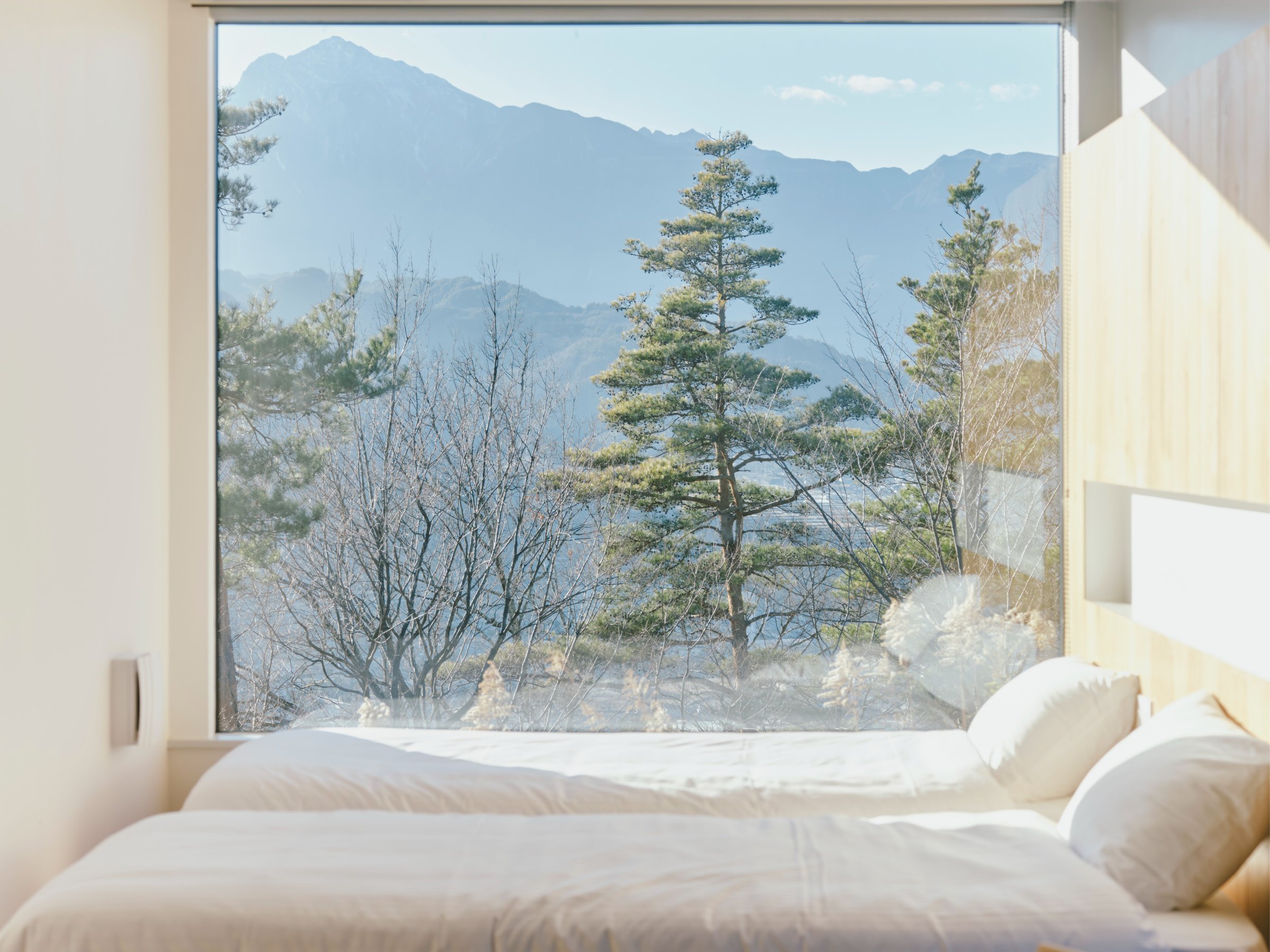 �q��������A��A���v�X�̗Y��Ȏ��R����]�ł����ґ�Ȓ��߁B