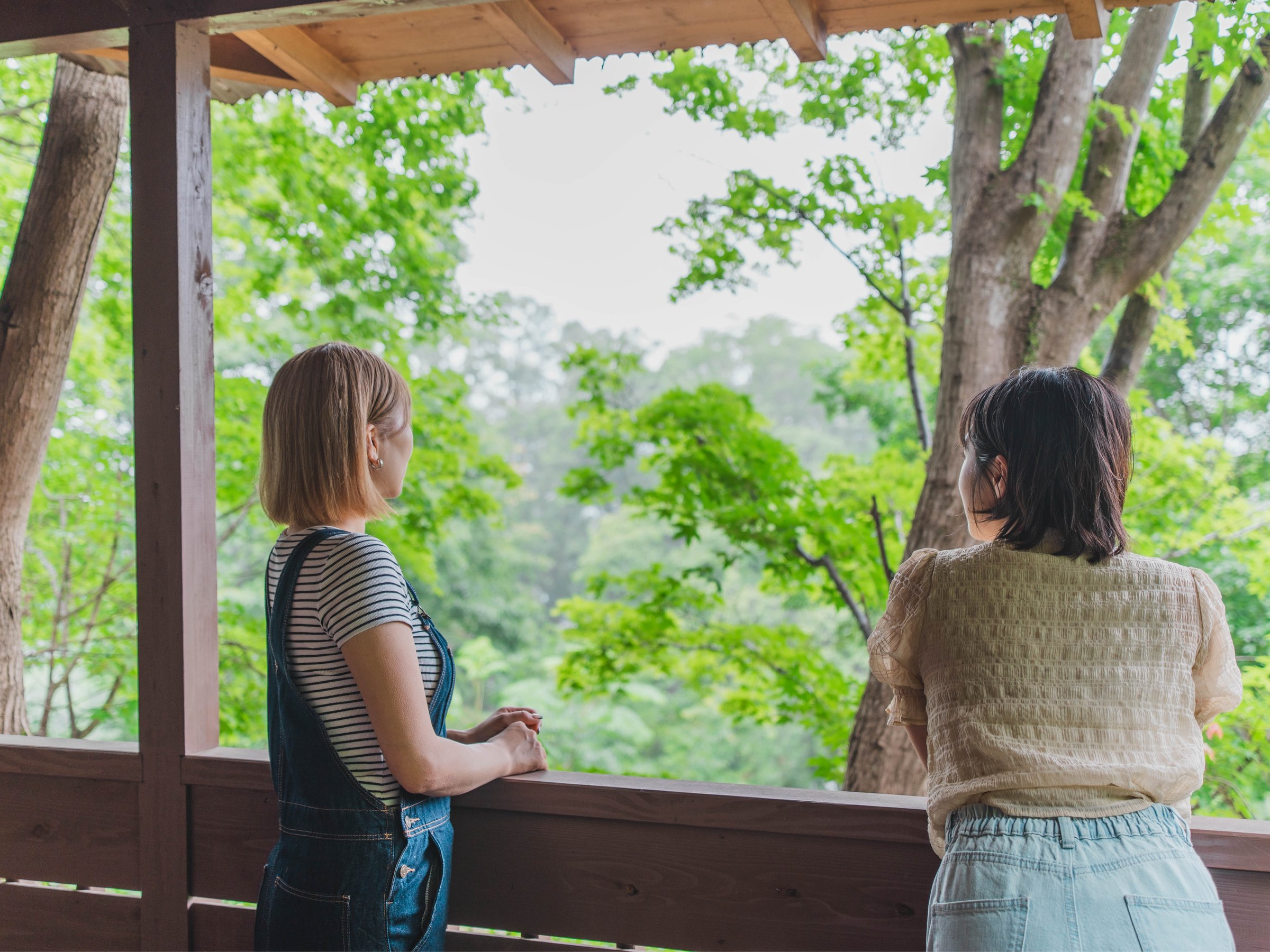 �R�e�[�WA�e���X