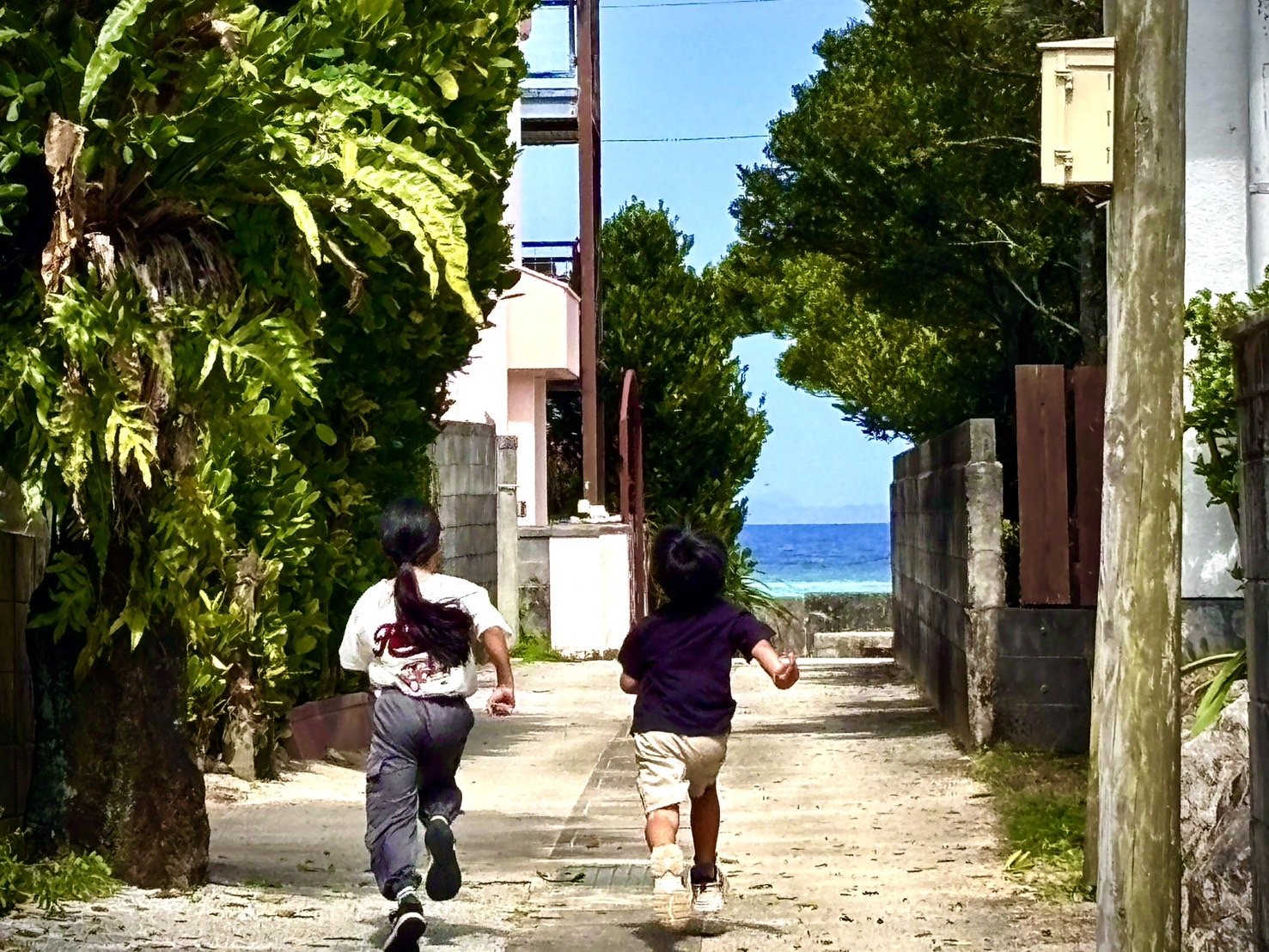 �؂̉����肩��A�܂������C��