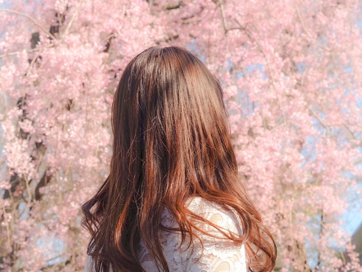 �������グ�鏗��