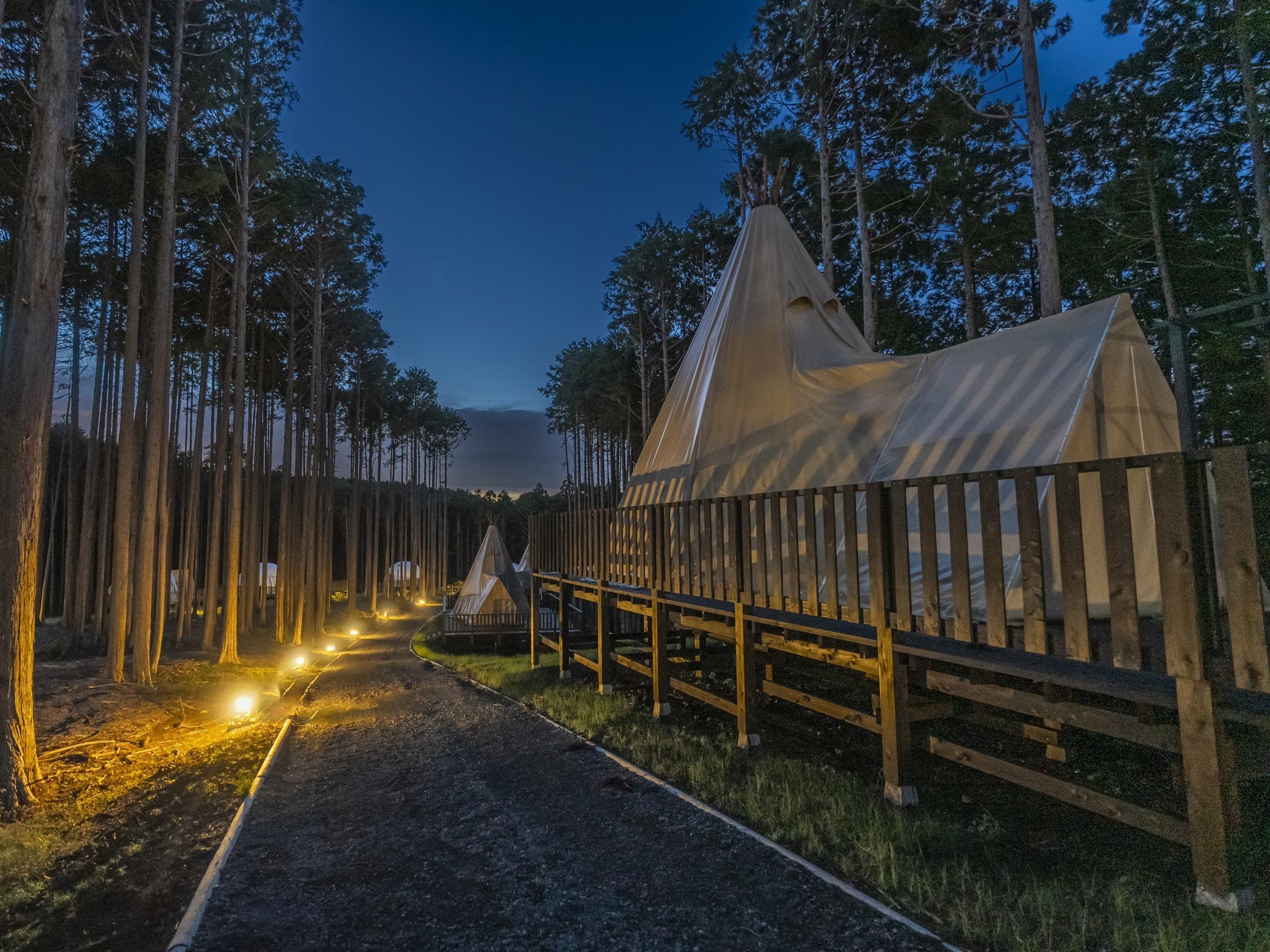 ���̖����肪���������̃O�����s���O�G���A�B���̂܂������������Ȃ���܂ǂ�ނƂ�������킪���킦��