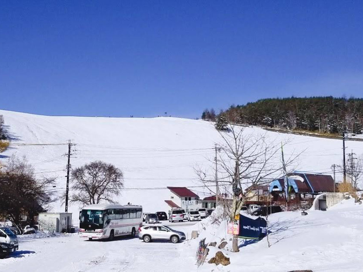 *�\�_�{�X�Q�����f�^���ْ��ԏ�̌������̓Q�����f���L�����Ă��܂��I