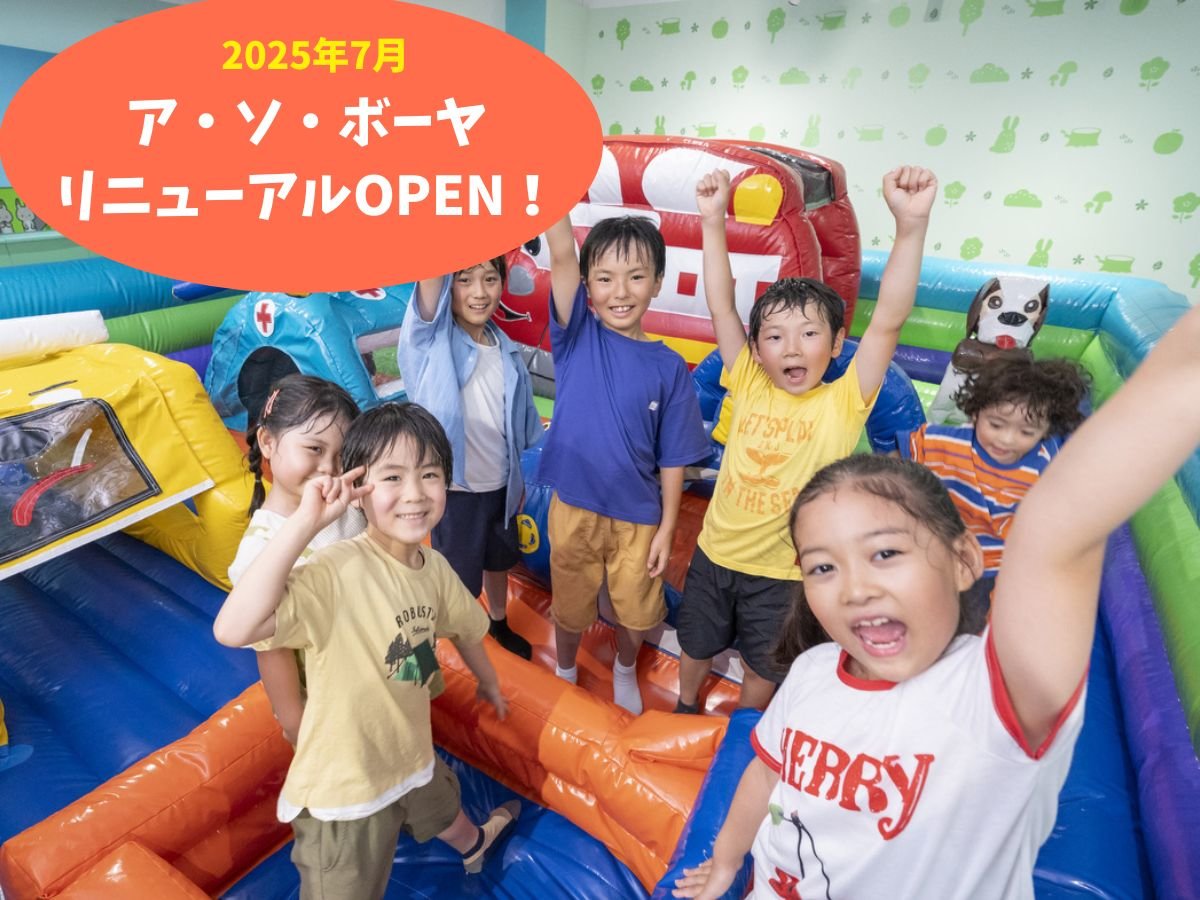 2025�N�V�������V��{�݁u�A�E�\�E�{�[���v���j���[�A���I�[�v���I