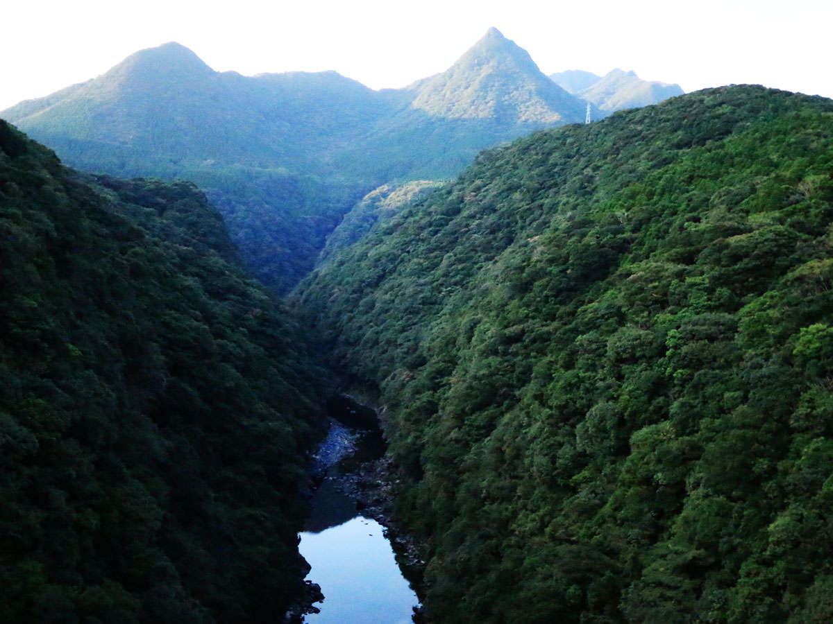 �g���b�L���O�v����������܂��̂ł����p���������B