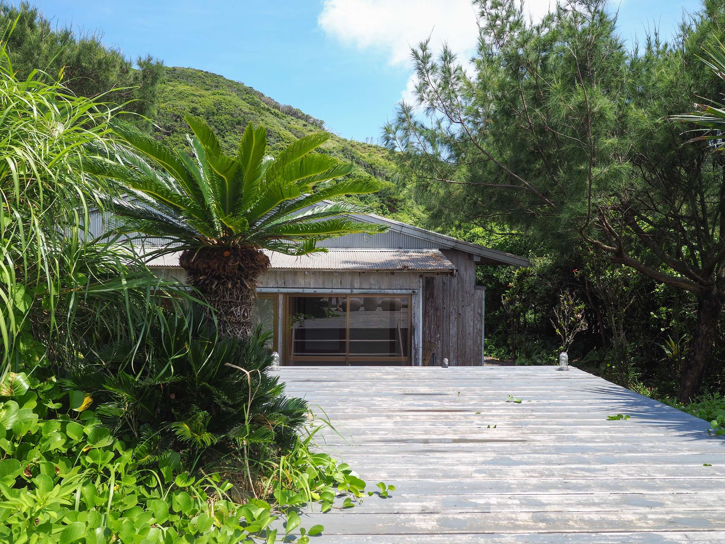 �u�A�_���ƊC�݂�h�v�O�ρ@�A�_����\�e�c�A�O�A�o�Ȃǉ����炵���؁X���݂͂܂�