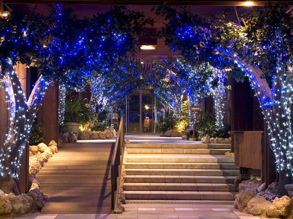 �G���g�����X�@�~�G�C���~�l�[�V�����@���[�h���_�̃g���l���ŎB�e���������߂ł���