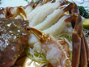 �J�j�h���c�g���u���v���c���c��