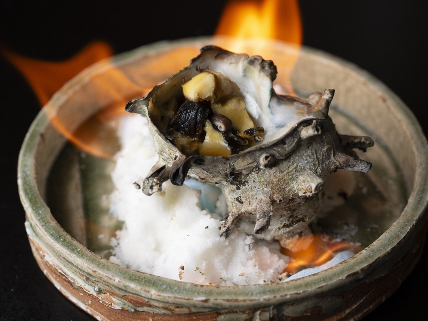 �h���̌�_�Ώ�