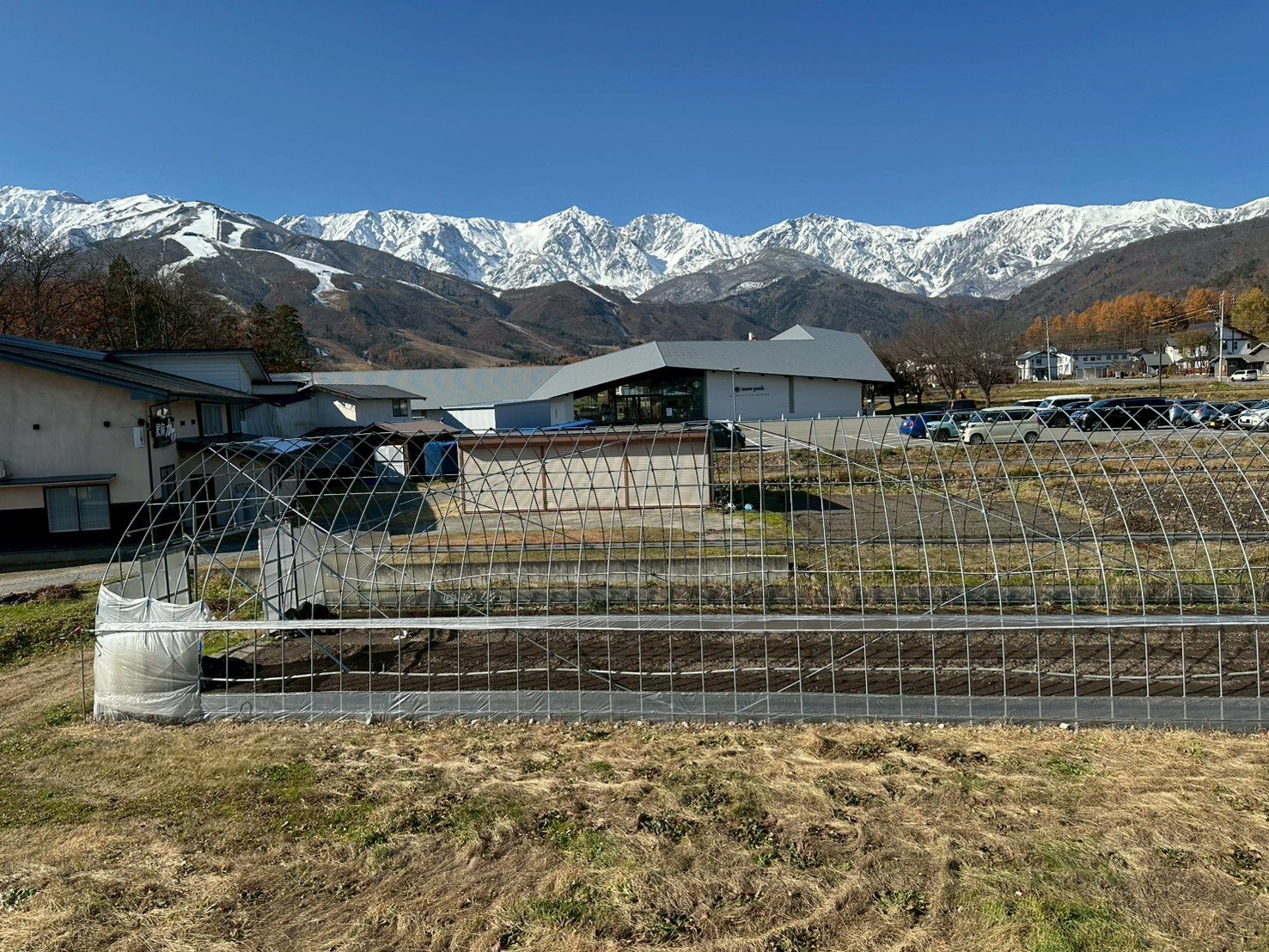 ���i�@�l�G�܁X�̌i�F�����y���݂��������܂��B