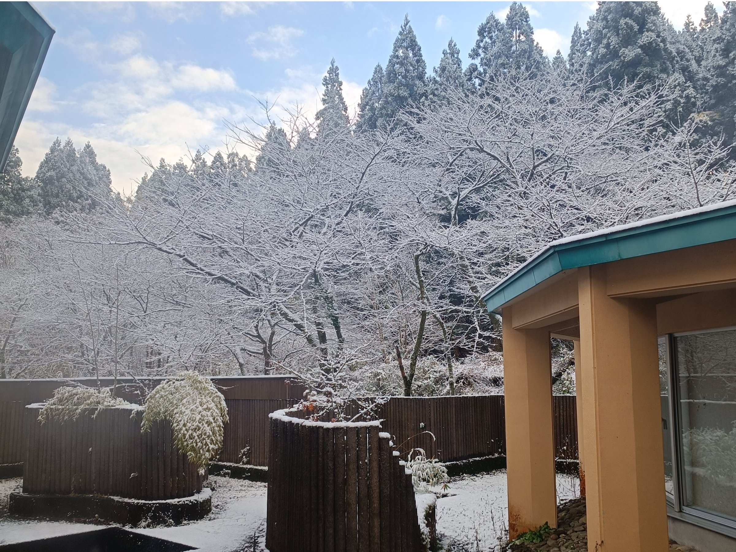 �l�G�܁X�̌i�F��������