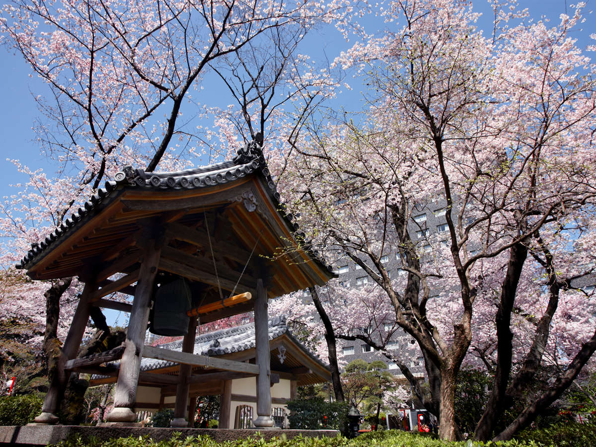 ���̋G�߂̓��{�뉀