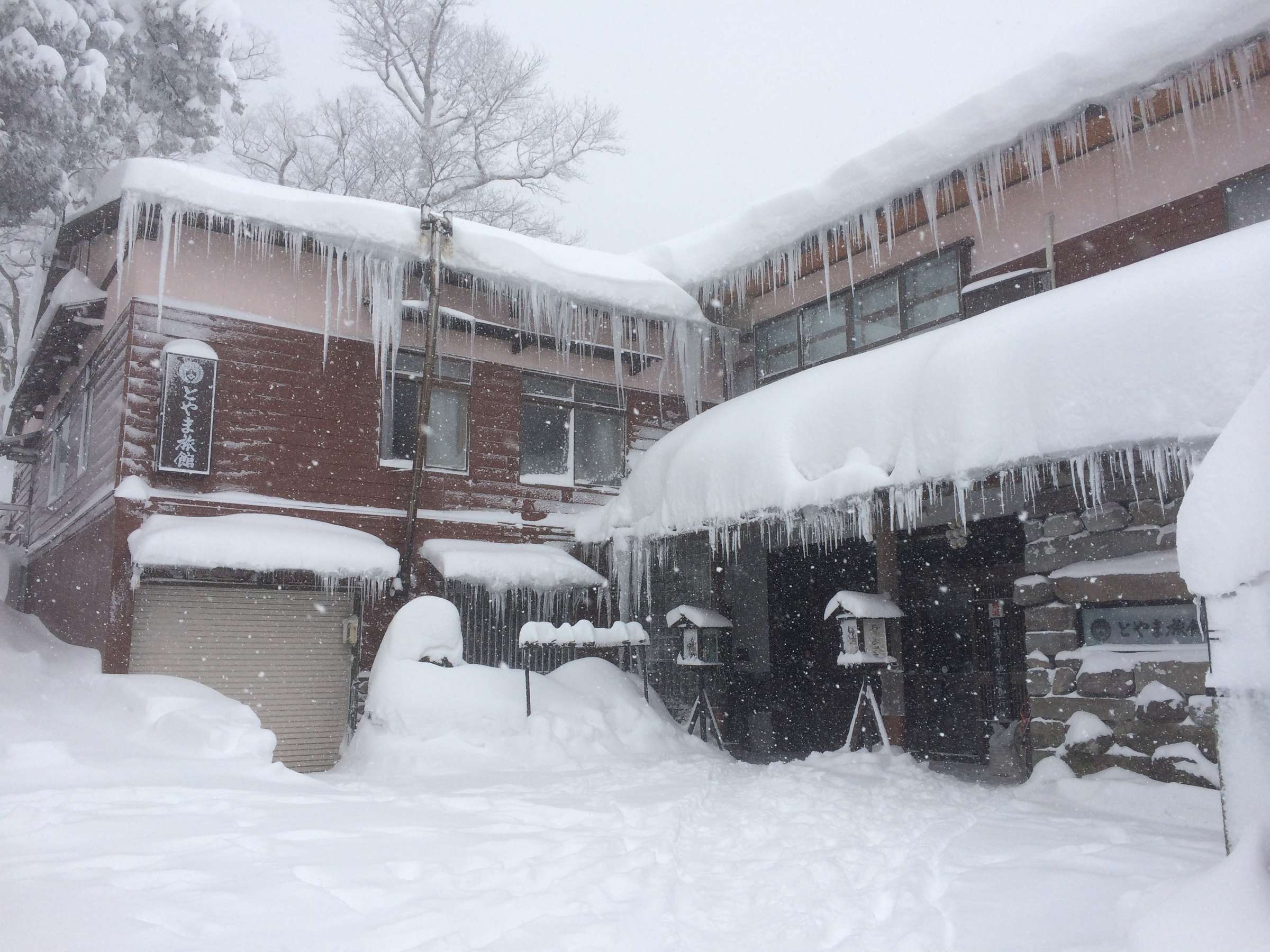 �~�̂Ƃ�ܗ���