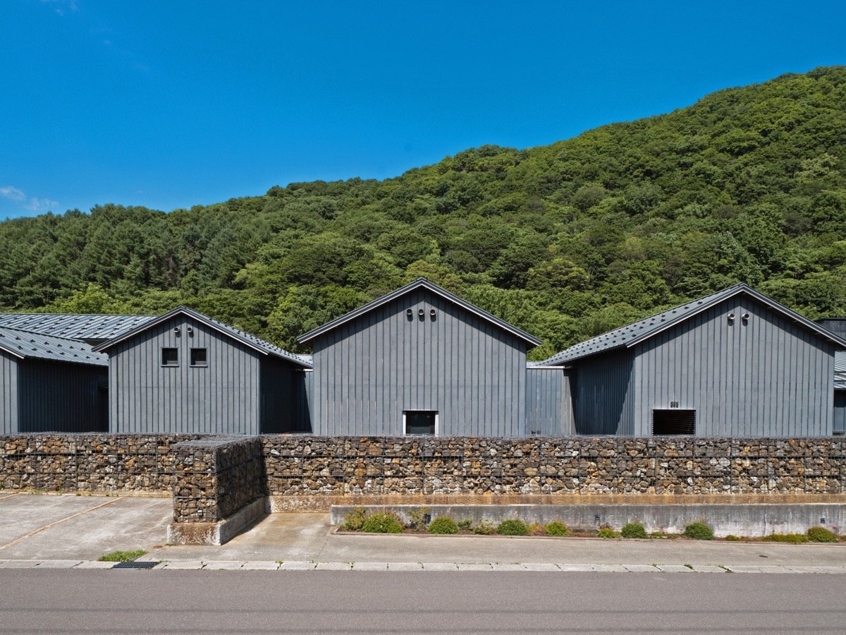 �y�O�ρz�t-��