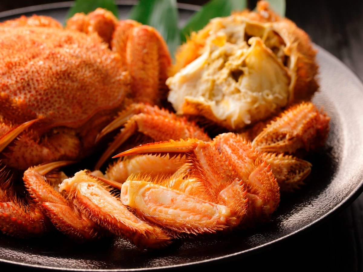 �уK�j�p����