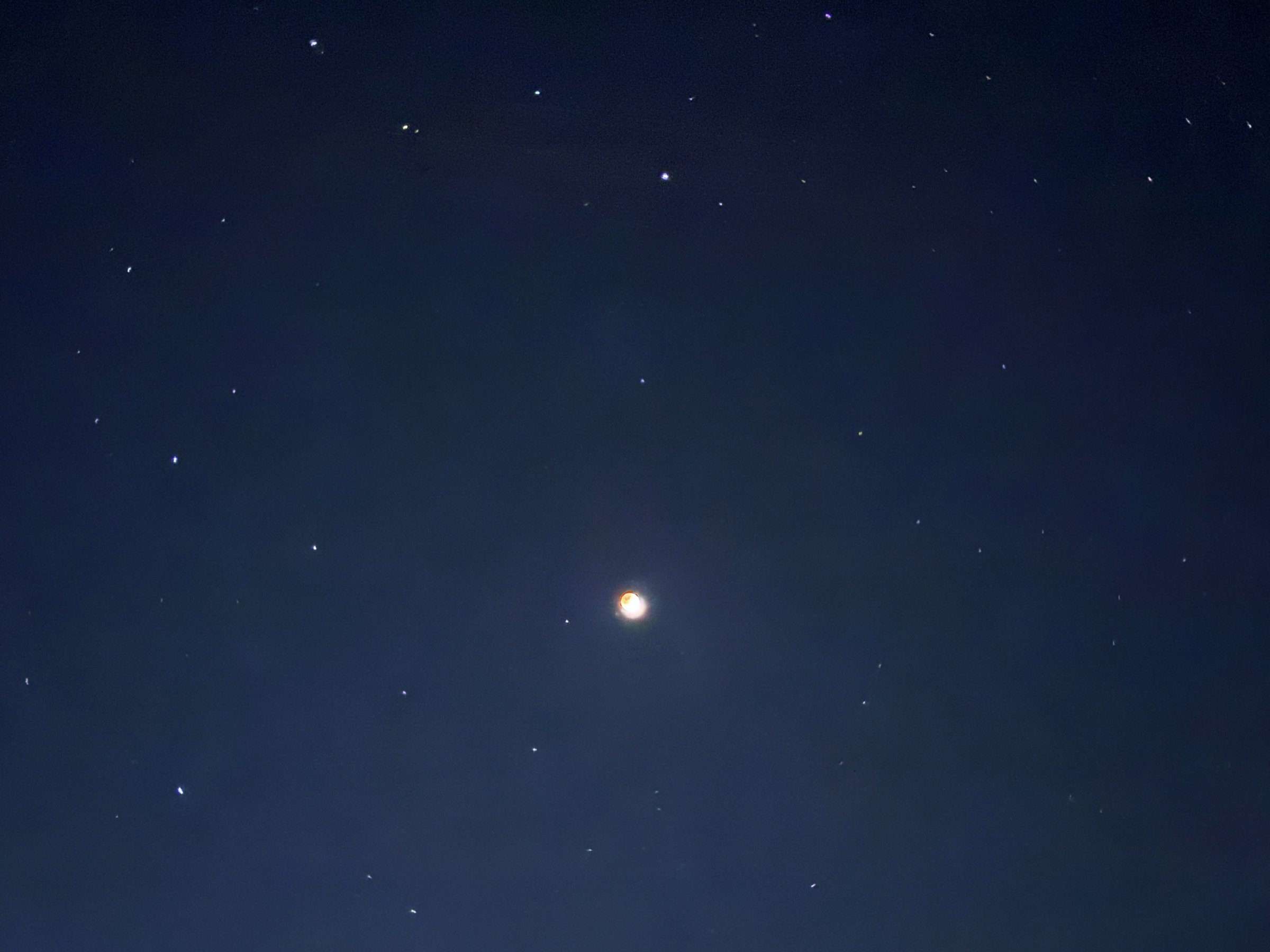 �����L���C�ȏ��юs�I