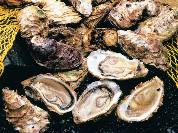 �y���������z�����̖��Y�u���y�v�ό�����̂��������͖��N��l�C