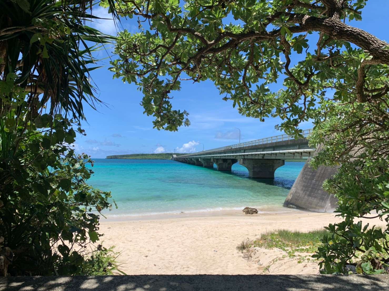 ������3���őO�l�_�������r�[�`�ցB�����͂܂�Ńv���C�x�[�g�r�[�`