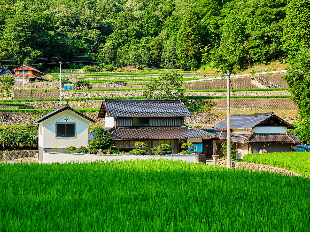 �E�y�O�ρz300�؂̍L��ȕ~�n�B�꓏�܂�܂�݂��؂���ґ�ɂ��߂�����������