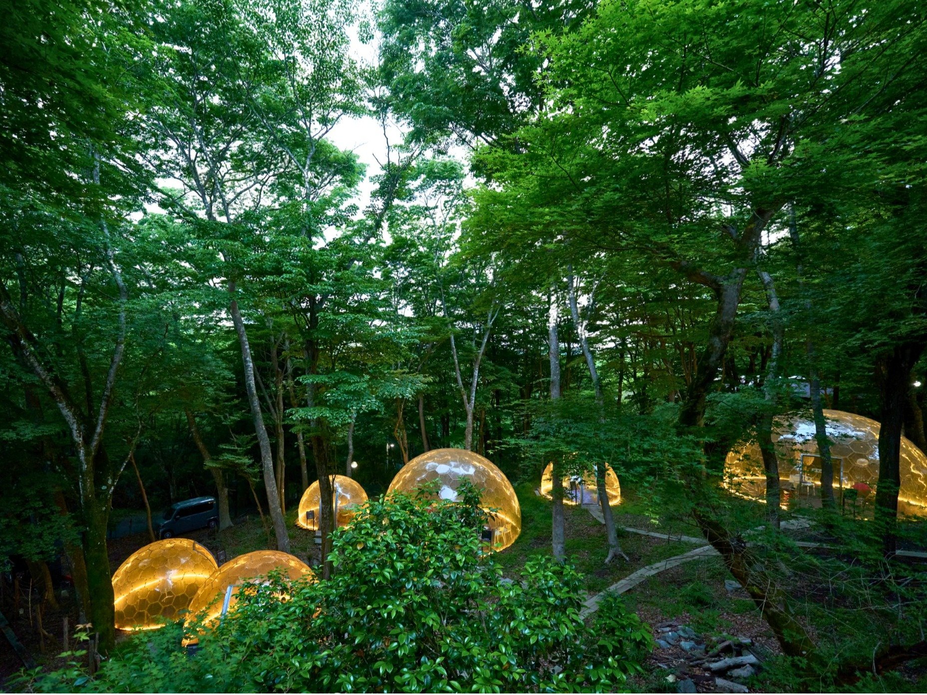 �y��z�h�[���e���g�@���h�[�����ւ̗�������֎~ �C���e���A�V���[���[���̂��߂̐ݔ��ƂȂ��Ă���܂��B