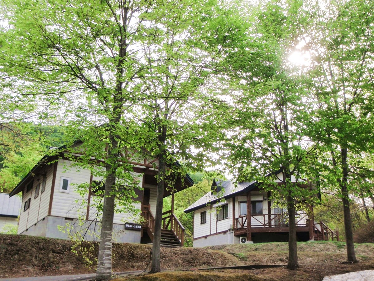 *�E�b�f�B�Ŏ��R�ƒ��a�������̃R�e�[�W