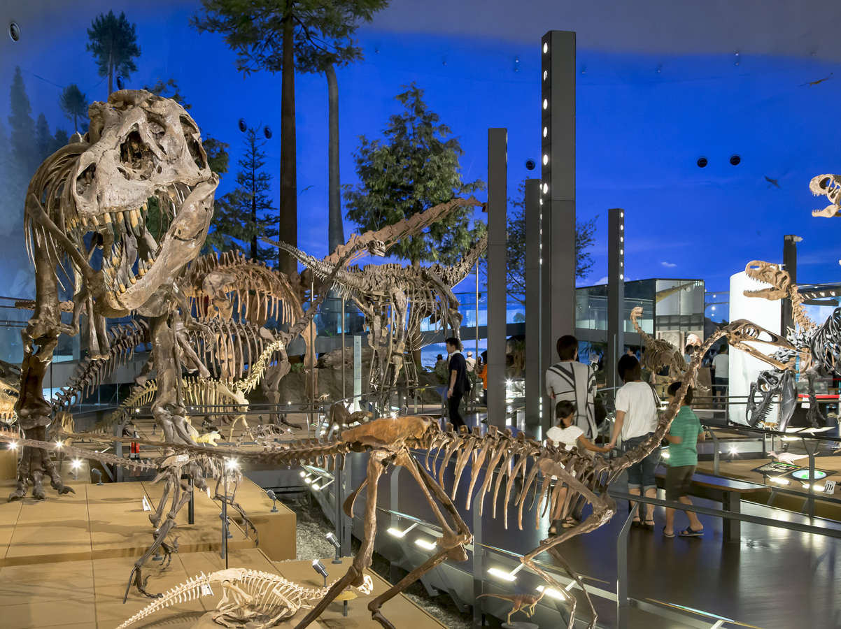 ���䌧�����������ق͎q�������l�܂ő�l�C�̊ό��X�|�b�g���ԂŖ�5��