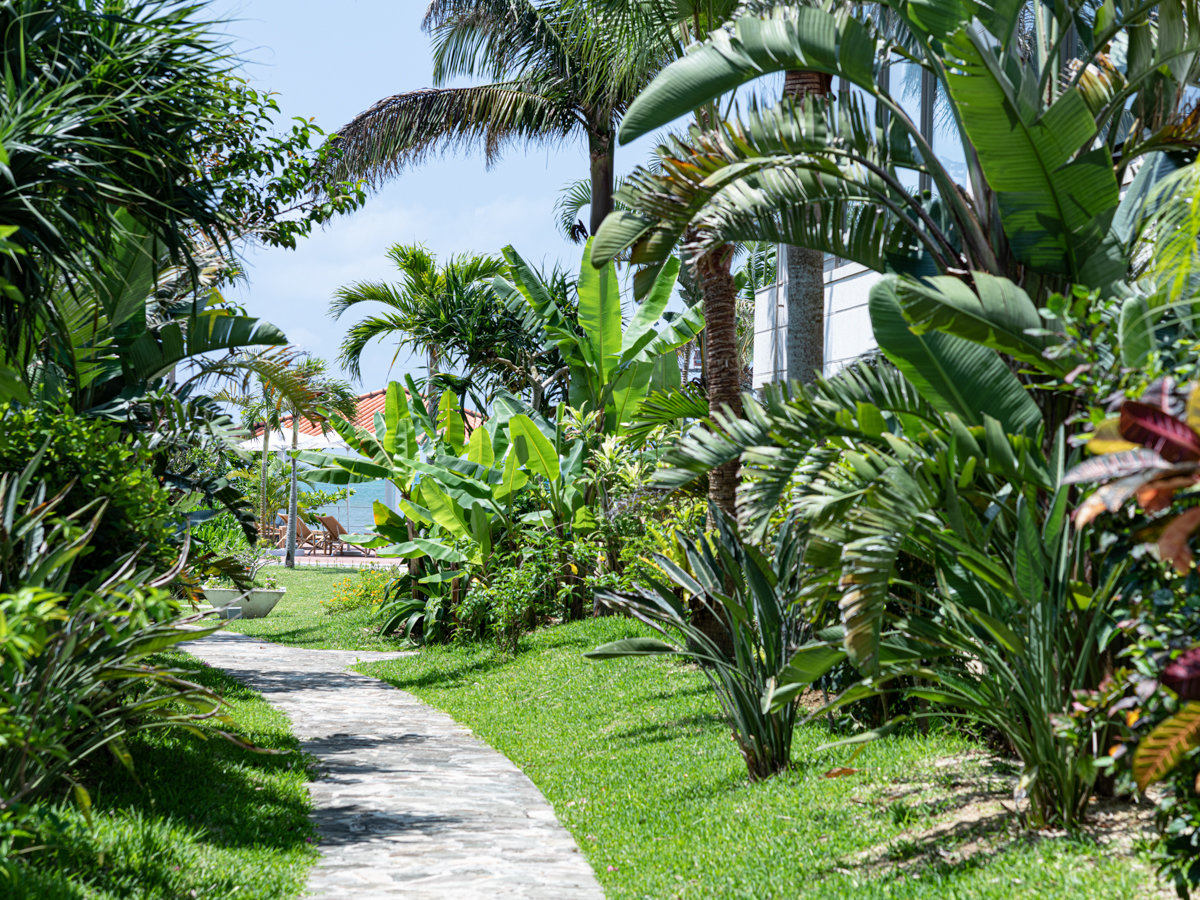 *�y���O�F�K�[�f���i���j�z