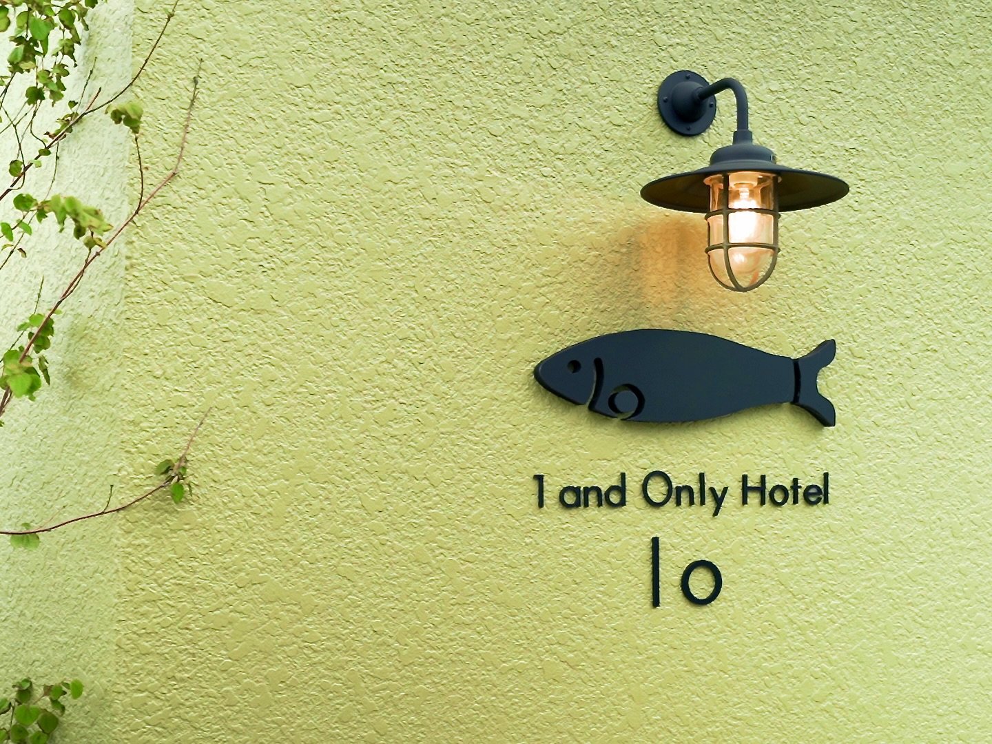 2024�N9���I�[�v���I1������2���̋q�����ґ�ȂЂƂƂ������񋟂������܂��B