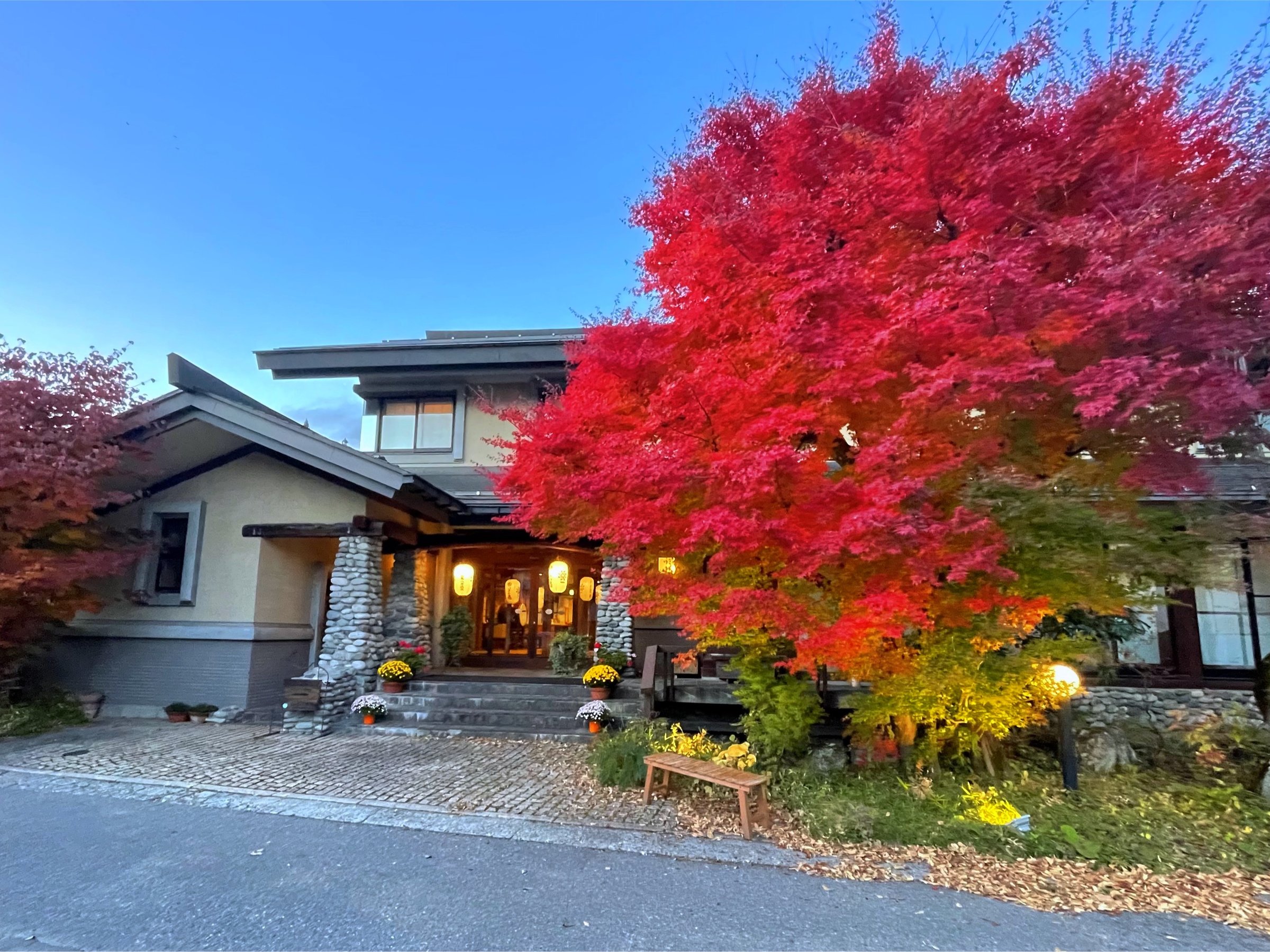 ���ʌ���_�H