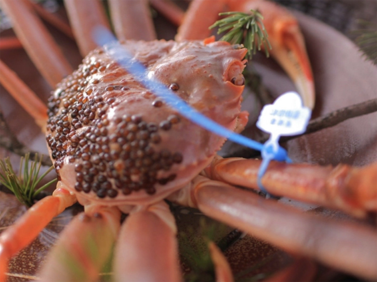 y[HE~z^OttI []@^OF͎dꋙ`ɂقȂ܂