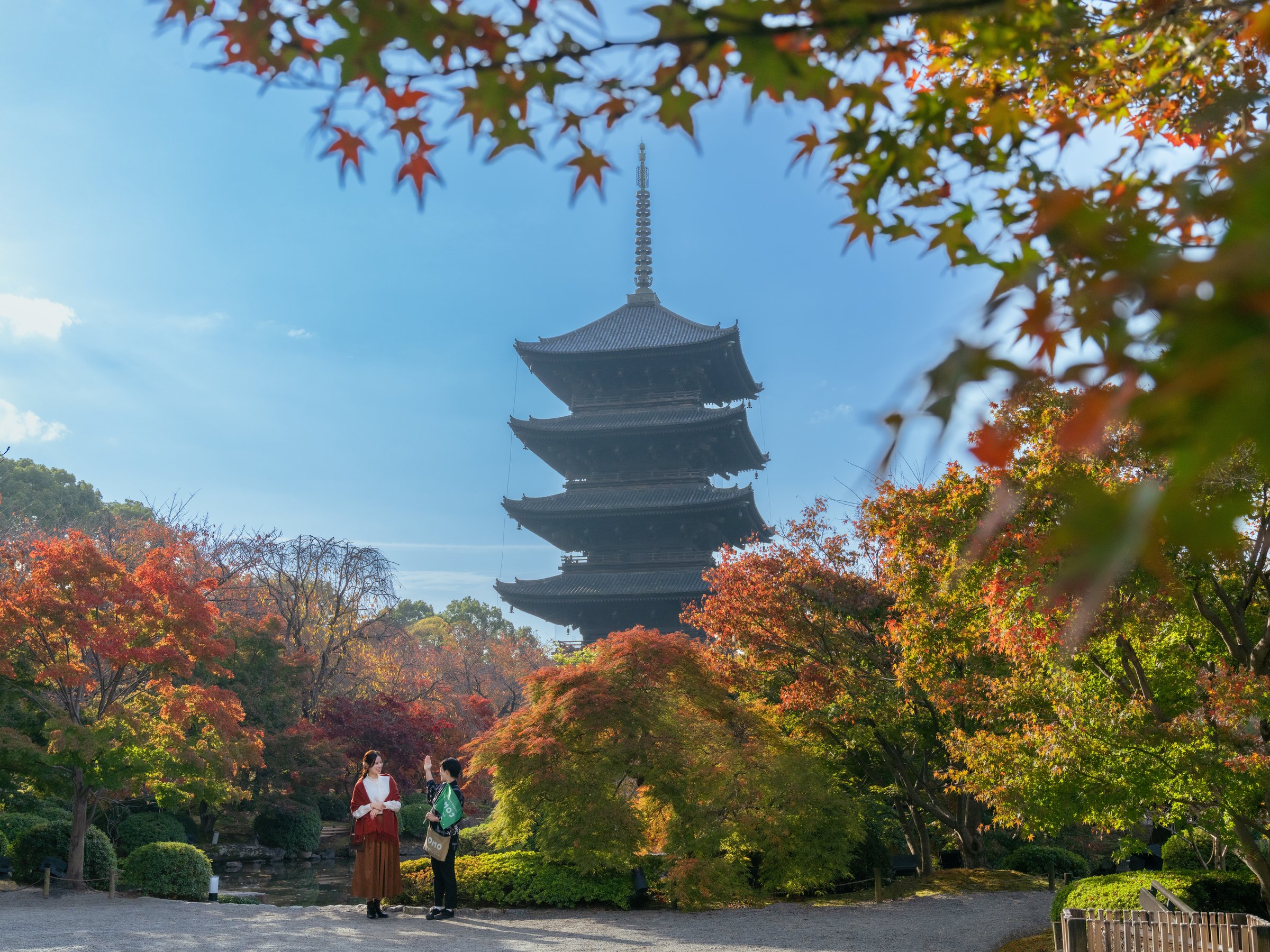 yzO@t̎v`闧̙䶗𒆐SɓhҌ薳cA[